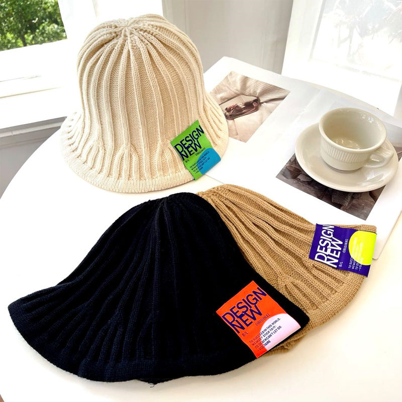 Winter Warm Knit Fashion Hat